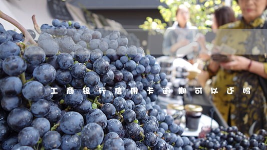 工商银行信用卡逾期可以还吗 工商银行信用卡逾期可以还吗