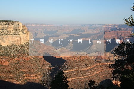 工商银行信用卡逾期后怎么办