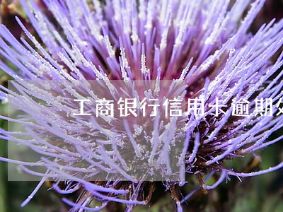 工商银行信用卡逾期处理方法