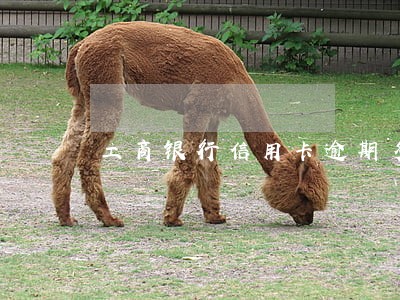 工商银行信用卡逾期多久会销卡 工商银行信用卡逾期多久会销卡