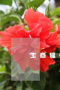 工商银行信用卡逾期多久被黑 工商银行信用卡逾期多久被黑