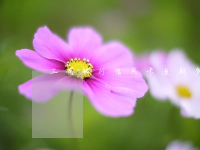 工商银行信用卡逾期多久解冻 工商银行信用卡逾期多久解冻