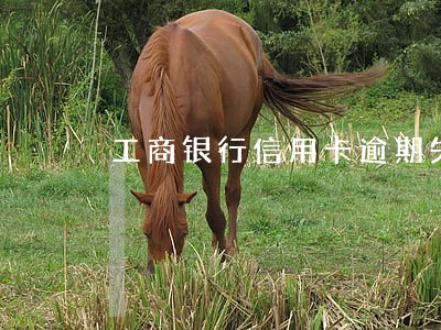 工商银行信用卡逾期失效 工商银行信用卡逾期失效