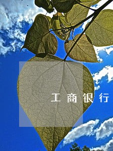 工商银行信用卡逾期宽限期 工商银行信用卡逾期宽限期