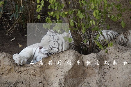 工商银行信用卡逾期封卡