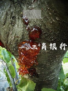 工商银行信用卡逾期就上征信