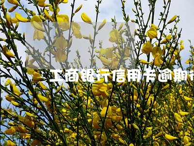 工商银行信用卡逾期很久 工商银行信用卡逾期很久