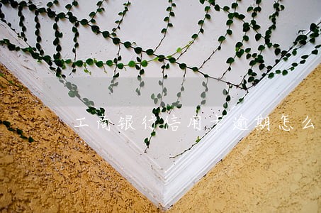 工商银行信用卡逾期怎么减免 工商银行信用卡逾期怎么减免