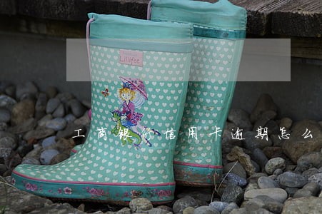 工商银行信用卡逾期怎么提问 工商银行信用卡逾期怎么提问