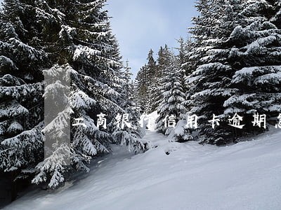 工商银行信用卡逾期怎么消除 工商银行信用卡逾期怎么消除