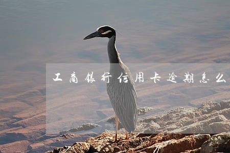 工商银行信用卡逾期怎么说理由