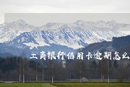 工商银行信用卡逾期怎么谈 工商银行信用卡逾期怎么谈