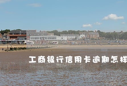 工商银行信用卡逾期怎样处理 工商银行信用卡逾期怎样处理