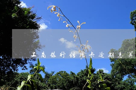 工商银行信用卡逾期怎算利息