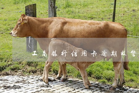 工商银行信用卡逾期报警 工商银行信用卡逾期报警
