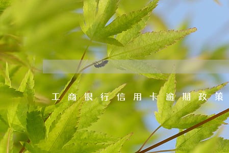 工商银行信用卡逾期政策 工商银行信用卡逾期政策