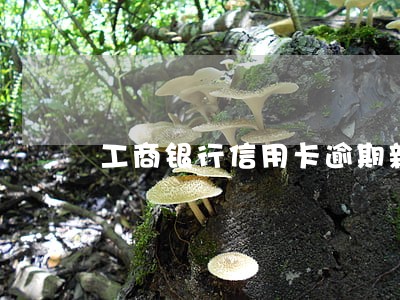 工商银行信用卡逾期新规定 工商银行信用卡逾期新规定
