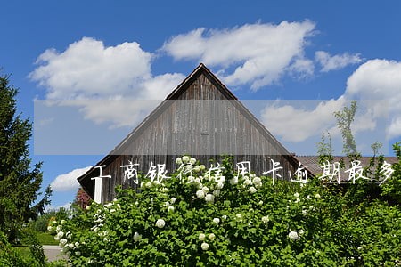 工商银行信用卡逾期最多 工商银行信用卡逾期最多
