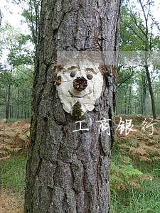 工商银行信用卡逾期有什么政策 工商银行信用卡逾期有什么政策
