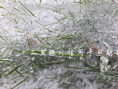 工商银行信用卡逾期有减免的吗 工商银行信用卡逾期有减免的吗