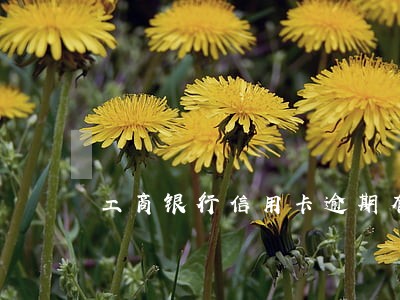 工商银行信用卡逾期有协商减免 工商银行信用卡逾期有协商减免