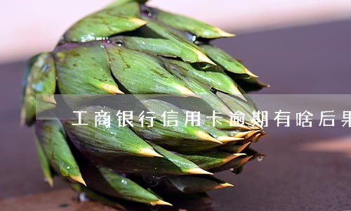 工商银行信用卡逾期有啥后果 工商银行信用卡逾期有啥后果