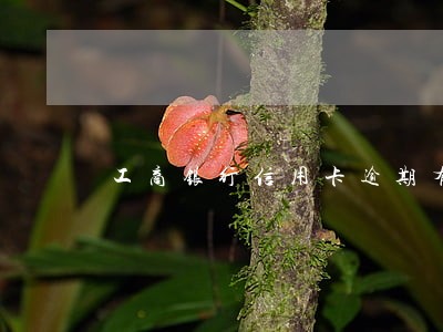 工商银行信用卡逾期有没有提醒 工商银行信用卡逾期有没有提醒