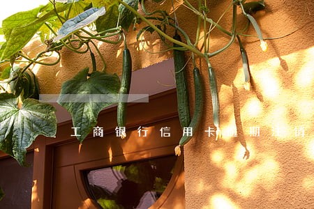 工商银行信用卡逾期注销 工商银行信用卡逾期注销