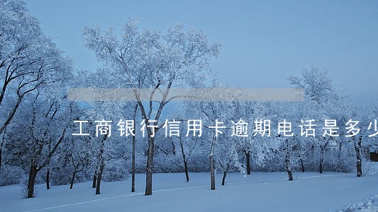 工商银行信用卡逾期电话是多少