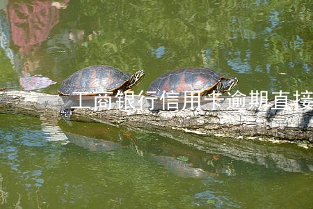 工商银行信用卡逾期直接锁卡