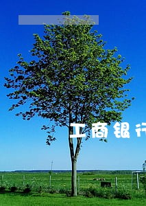 工商银行信用卡逾期联系谁