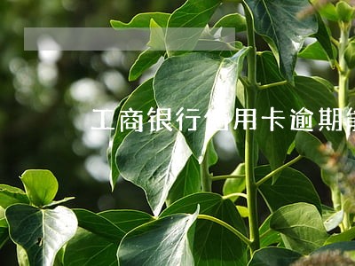 工商银行信用卡逾期能申请蓄存吗 工商银行信用卡逾期能申请蓄存吗