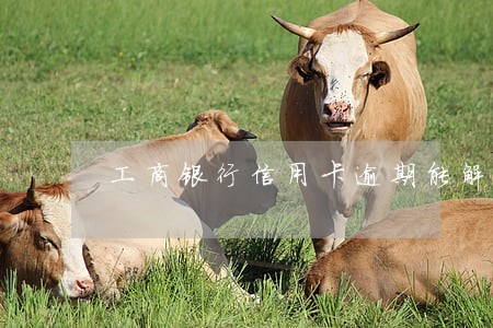 工商银行信用卡逾期能解冻吗 工商银行信用卡逾期能解冻吗
