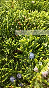 工商银行信用卡逾期能还本金吗 工商银行信用卡逾期能还本金吗
