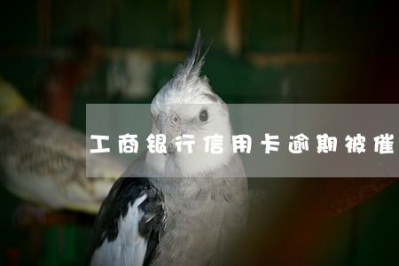 工商银行信用卡逾期被催收