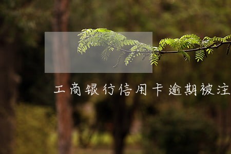 工商银行信用卡逾期被注销 工商银行信用卡逾期被注销