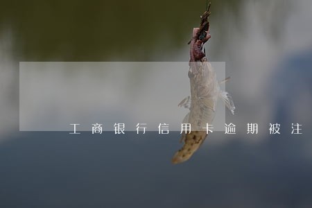 工商银行信用卡逾期被注销了 工商银行信用卡逾期被注销了