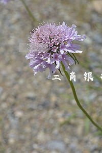 工商银行信用卡逾期解决方法 工商银行信用卡逾期解决方法