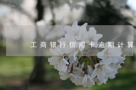 工商银行信用卡逾期计算 工商银行信用卡逾期计算