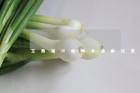 工商银行信用卡逾期记录消除 工商银行信用卡逾期记录消除