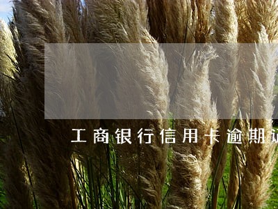 工商银行信用卡逾期证明格式 工商银行信用卡逾期证明格式
