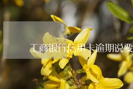 工商银行信用卡逾期说要上门 工商银行信用卡逾期说要上门