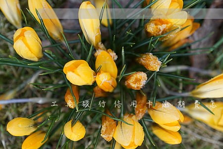 工商银行信用卡逾期费怎么算 工商银行信用卡逾期费怎么算