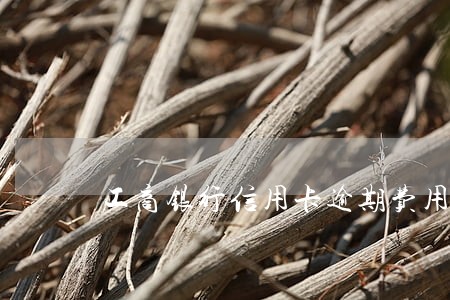 工商银行信用卡逾期费用计算 工商银行信用卡逾期费用计算