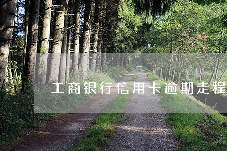 工商银行信用卡逾期走程序 工商银行信用卡逾期走程序