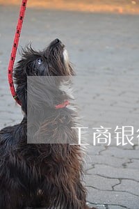 工商银行信用卡逾期超过60天