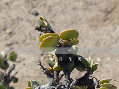 工商银行信用卡逾期还款异常 工商银行信用卡逾期还款异常