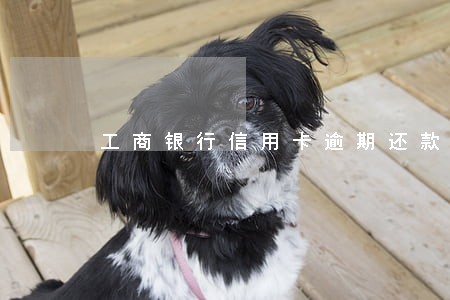 工商银行信用卡逾期还款电话号码 工商银行信用卡逾期还款电话号码