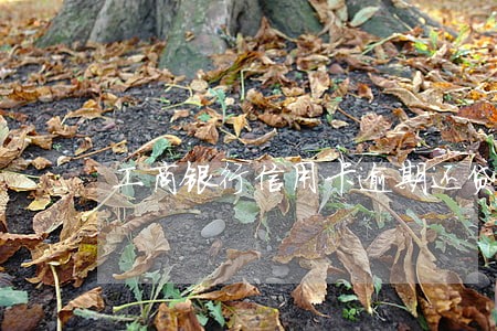工商银行信用卡逾期还贷 工商银行信用卡逾期还贷