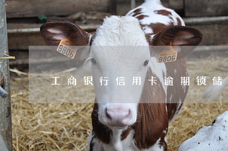 工商银行信用卡逾期锁储蓄卡